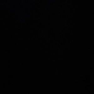 Meet your Posher, Hazel